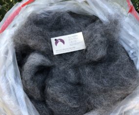 Wool Processing Continued-An Adventure to Morro Bay