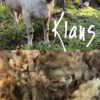 Momma Klaus's Un-Dyed Roving - Image 3