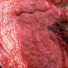 "Myrcella" Halter - Image 2