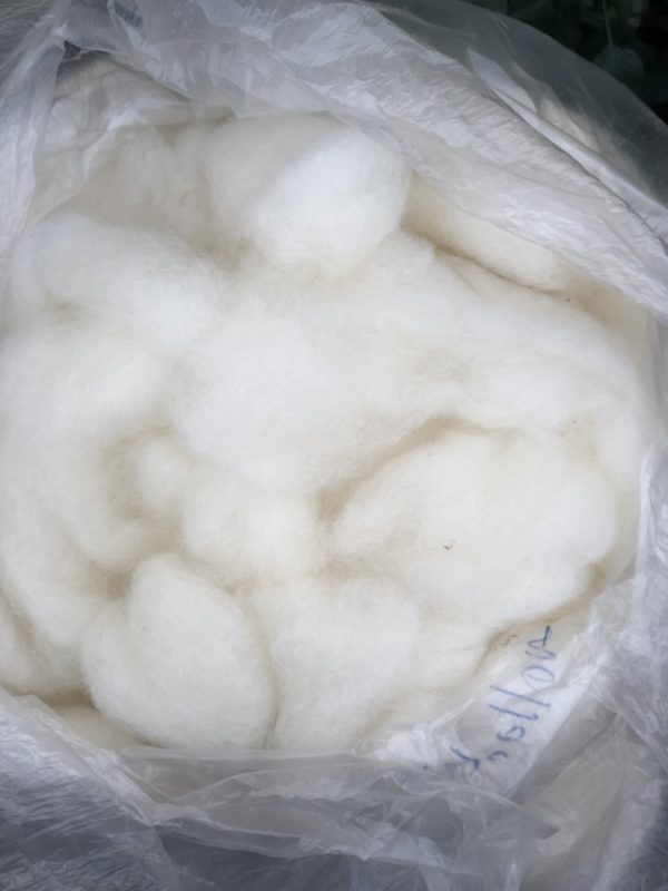 Momma Klaus's Un-Dyed Roving