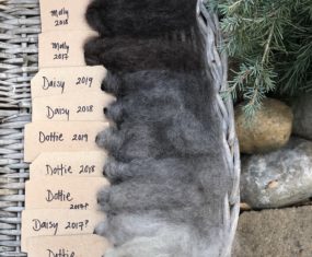 Wool Sampler