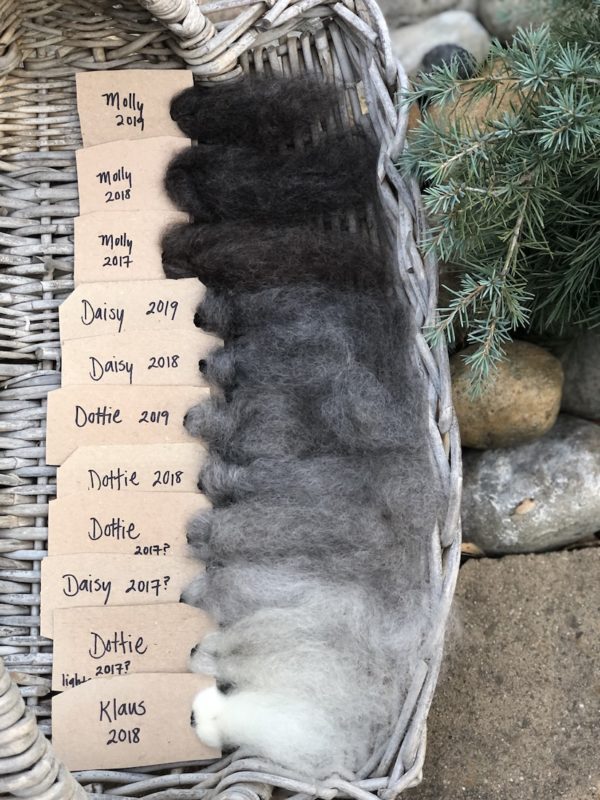 Wool Sampler