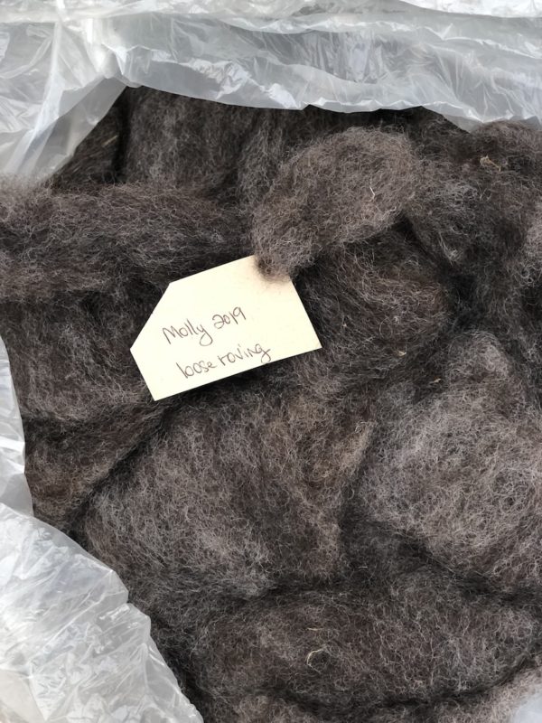 Molly's Un-dyed Dark Roving