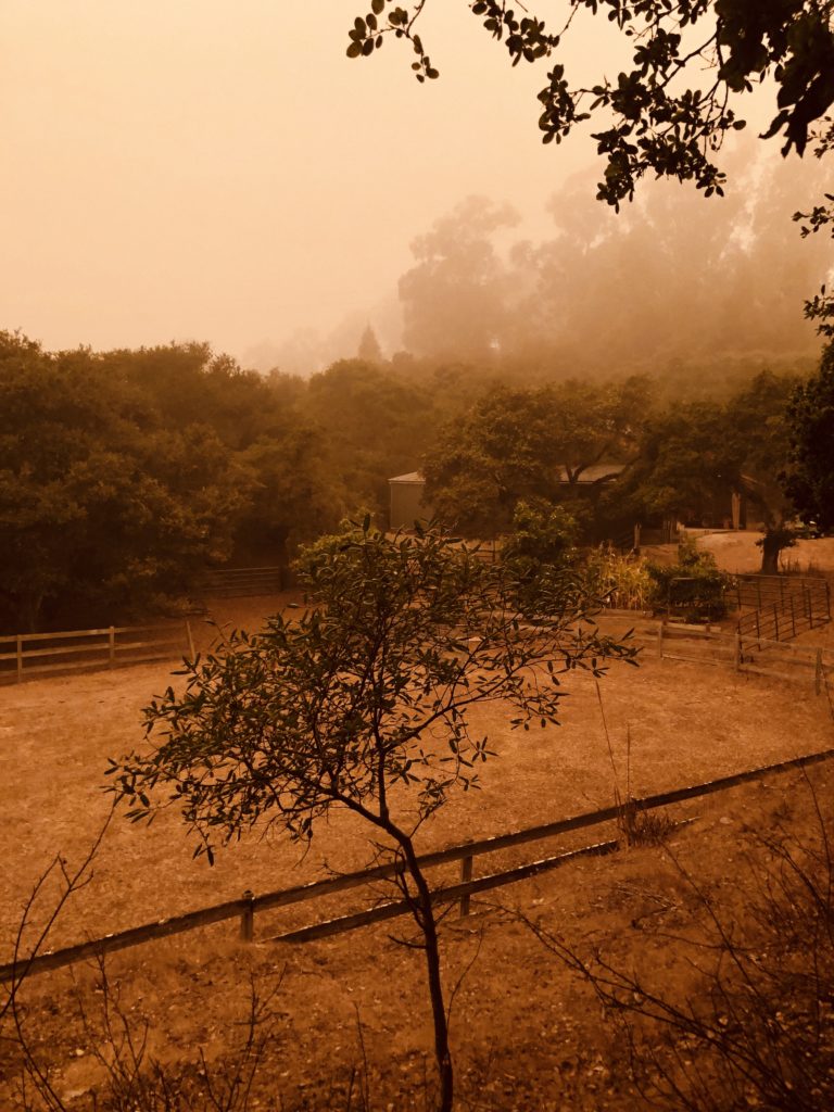 a rural view of an arena surrounded by trees but shrouded in an orange, smoky haze